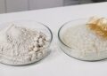 氧化锌基陶瓷粉体与聚合物树脂原材料对比